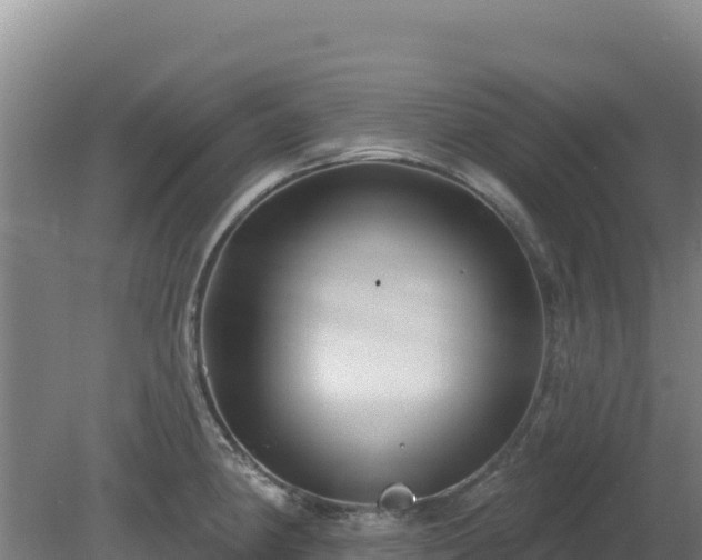 X0000080201190200612152032