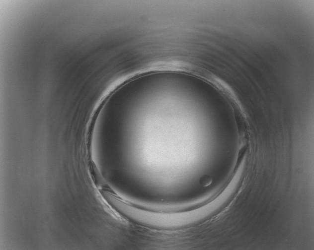 X0000080201192200612152032