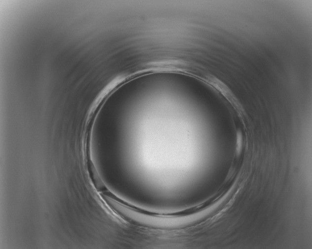 X0000080201196200612152032