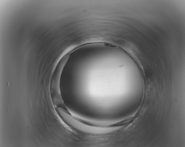 X0000080201197200612152032