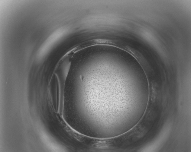 X0000080201198200612152032