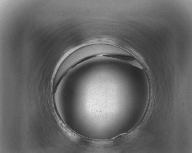 X0000080201200200612152032