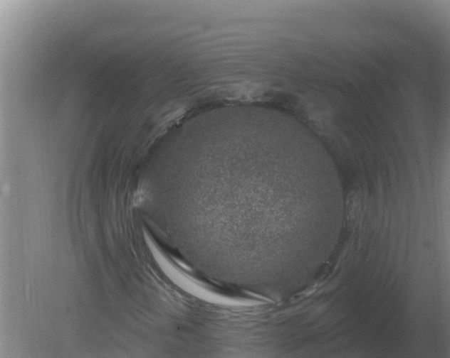 X0000080201202200612152031