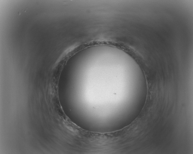 X0000080201207200612152031