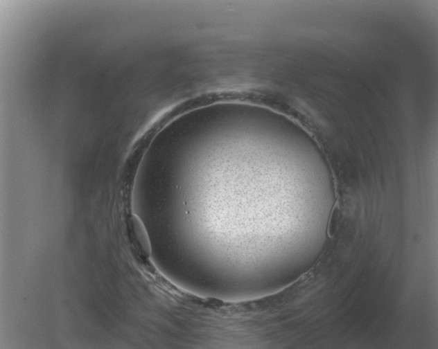 X0000080201208200612152031