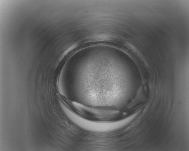 X0000080201210200612152031