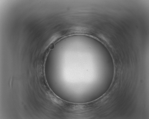 X0000080201211200612152031