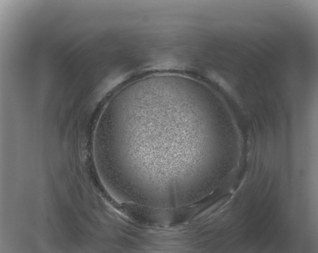 X0000080201213200612152031