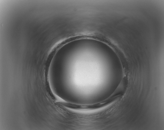 X0000080201214200612152031