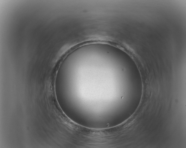 X0000080201215200612152031