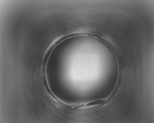 X0000080201216200612152031