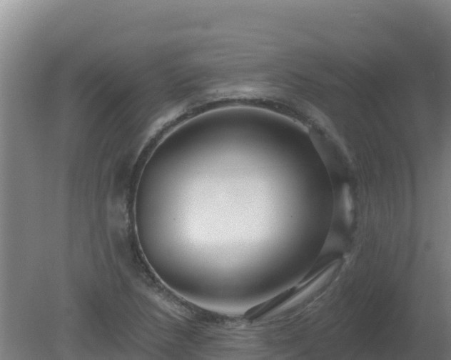 X0000080201218200612152031