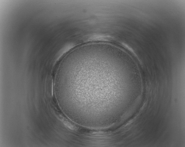 X0000080201219200612152031