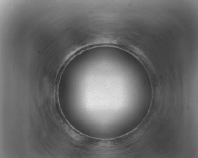 X0000080201220200612152031