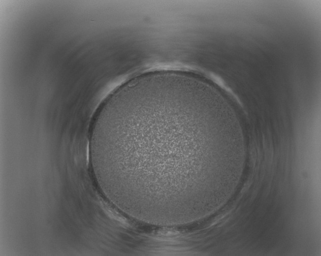 X0000080201221200612152031