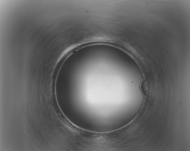 X0000080201222200612152031