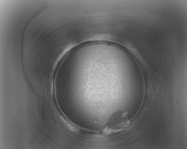 X0000080201224200612152031