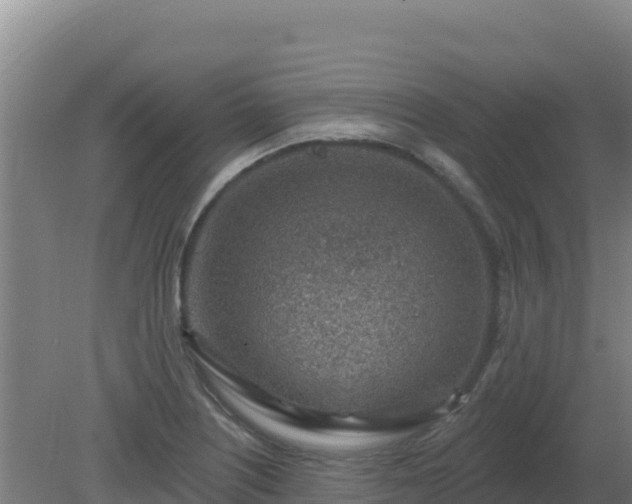 X0000080201226200612152031