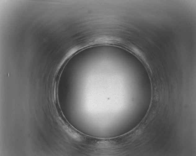 X0000080201227200612152031