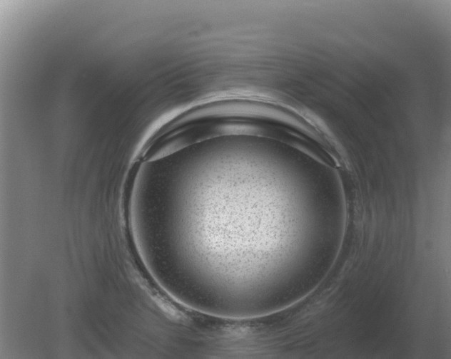 X0000080201230200612152032