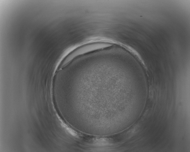 X0000080201231200612152032