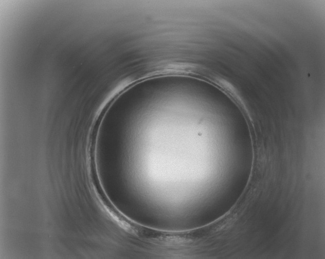 X0000080201235200612152032