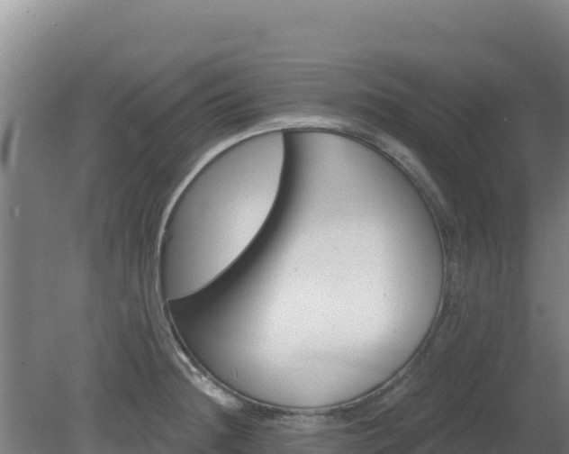 X0000080201236200612152032