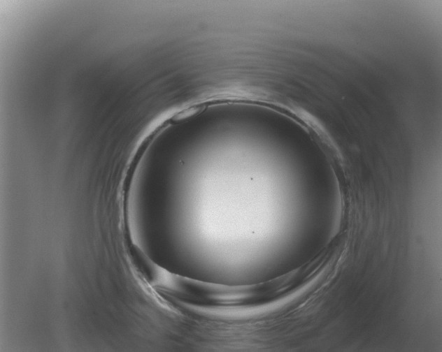 X0000080201238200612152032