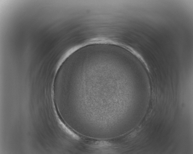 X0000080201239200612152032