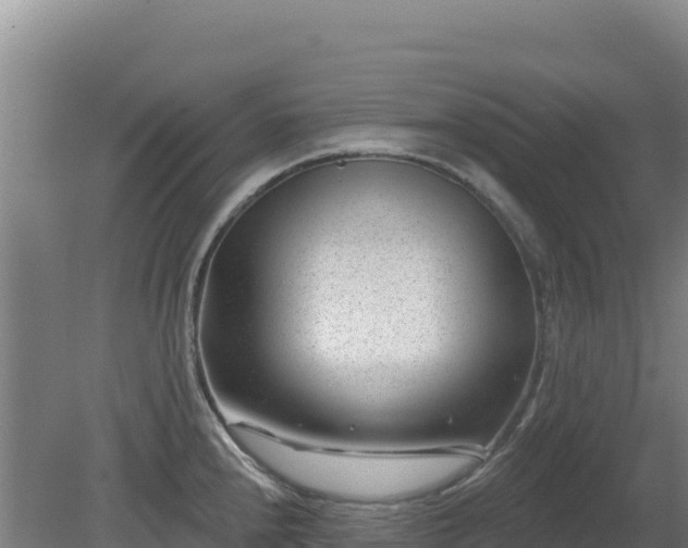 X0000080201240200612152032