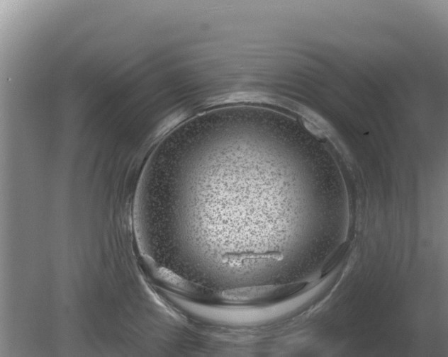 X0000080201241200612152032