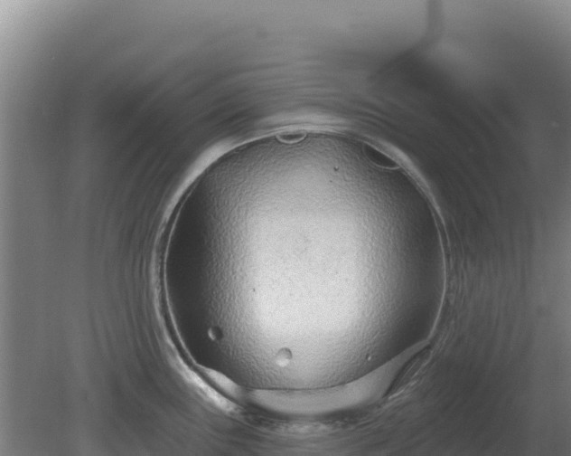 X0000080201243200612152032