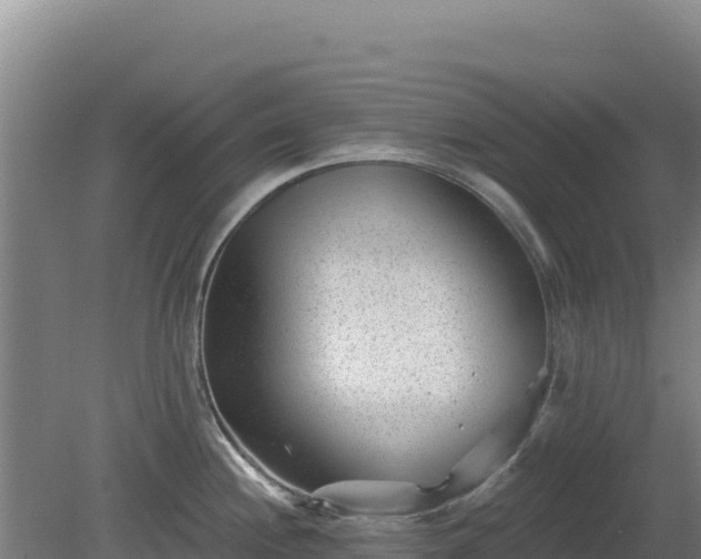 X0000080201244200612152032