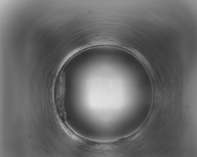 X0000080201246200612152032