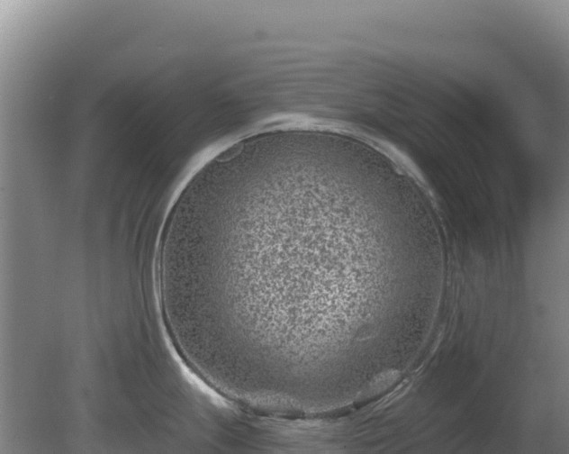 X0000080201247200612152032