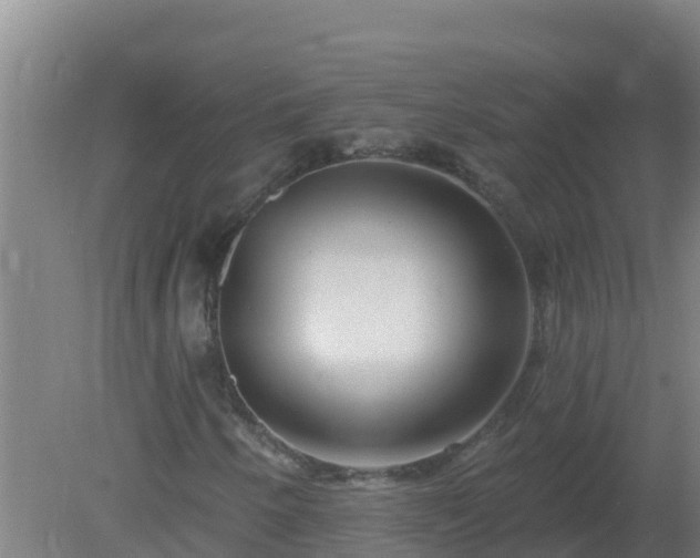 X0000080201250200612152031