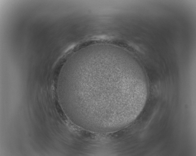 X0000080201254200612152031