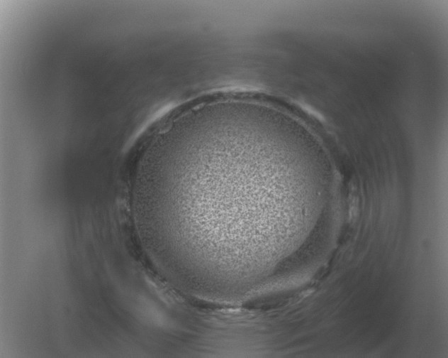 X0000080201255200612152031