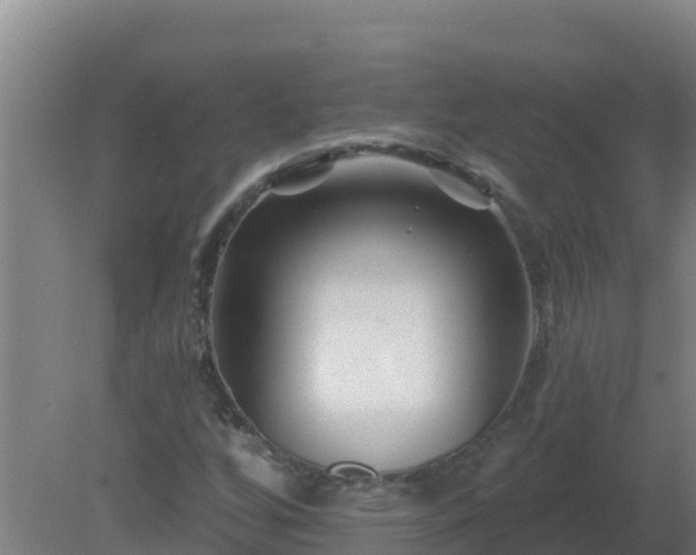 X0000080201256200612152031