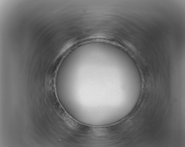 X0000080201258200612152031