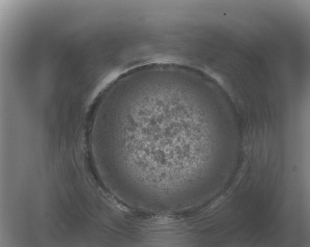 X0000080201263200612152031