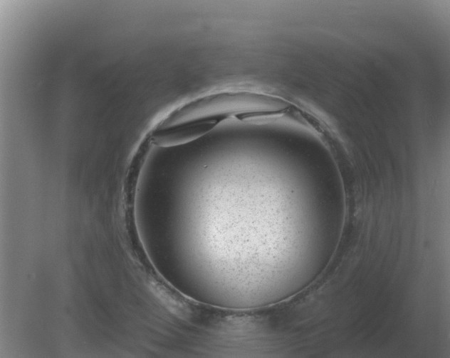 X0000080201264200612152031