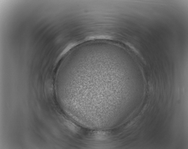 X0000080201266200612152031