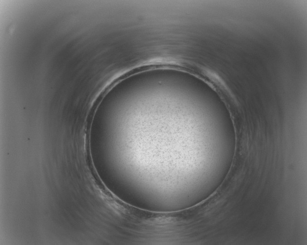 X0000080201268200612152031