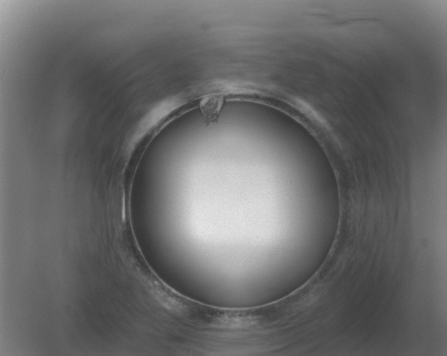 X0000080201269200612152031