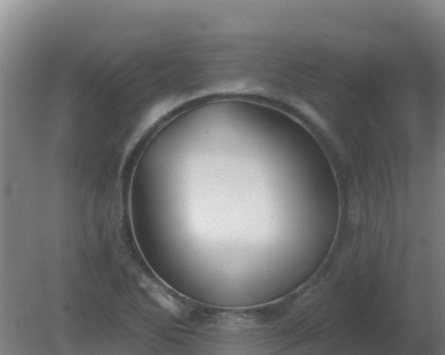 X0000080201270200612152031