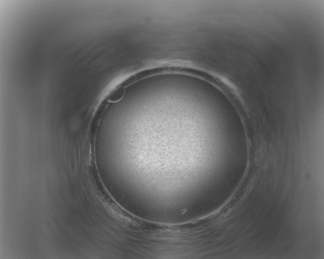 X0000080201271200612152031