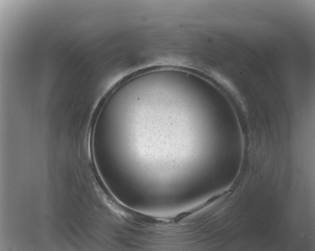 X0000080201272200612152031