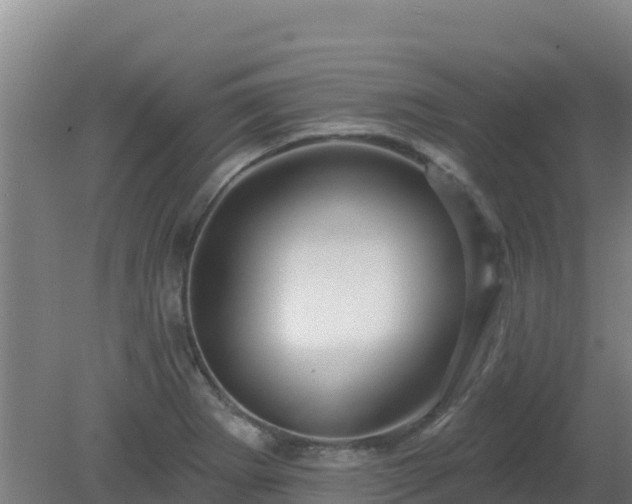 X0000080201273200612152031