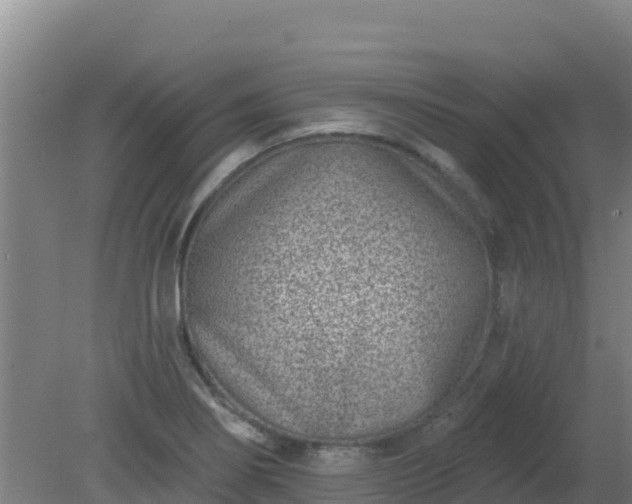 X0000080201274200612152031